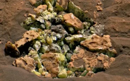 Curiosity Cracked Open a Rock on Mars And Revealed a Huge Surprise