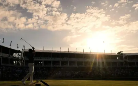 Ludvig Aberg Leads The Players Championship By Three Heading Into Final Round At Sawgrass