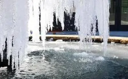 Freeze Warning in Forsyth County Sparks Cold Snap Concerns as Alabama Eyes Possible Snow