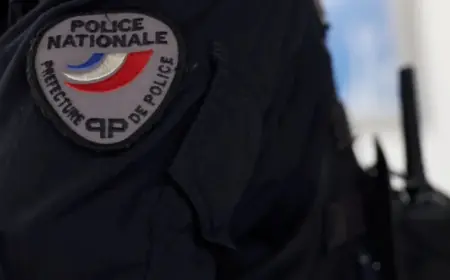 Rennes Vs Losc: Supporter Brawl Leaves One Injured Ahead Of 26th-Week Ligue 1 Clash