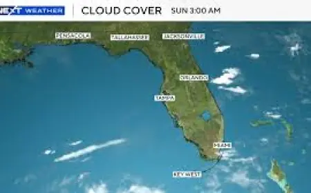 Miami Weather Forecast: Thunderstorms Sunday, Clearing Into the Week