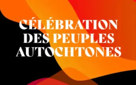 Lphf Clash In Laval Leaves Victoire With Injury Concerns After Goaltending Duel