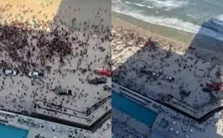 Daytona Beach Shooting: Investigators Probe Tourist-Area Incidents as Viral ‘Shots Fired’ Clip Is Fact-Checked