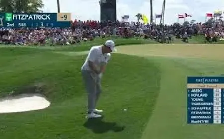 Cam Young Golf: The Players Championship Live Drama Ends With Cameron Young Win At TPC Sawgrass