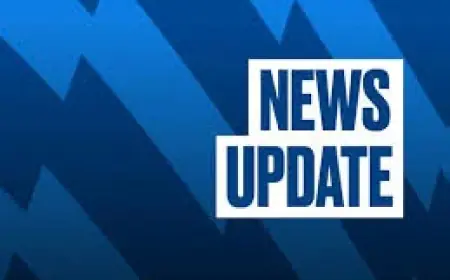 Palmeiras Vs Mirassol At Allianz Parque Sparks Bid For Recovery After Turf Change