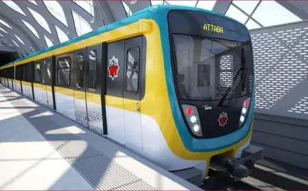 Frankenstein Adaptations Spark Fresh Focus On The Bride’s Legacy