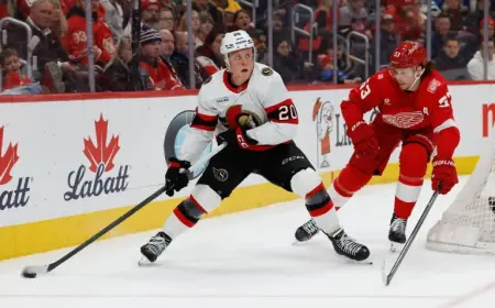 Senators-Sharks: One Year Later, The Fabian Zetterlund Trade Is Still Taking Shape