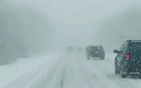 Blizzard ‘Bomb’ Minnesota Sparks Massive Flight Disruptions and Record Snow