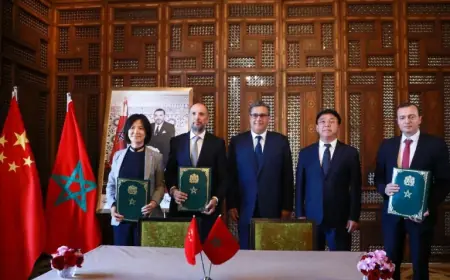 Casablanca Port and Tanger Med Underscore Morocco’s Rise as Regional Pivot