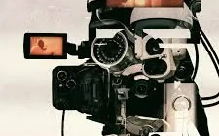 The Perfect Neighbour In Ocala Sparks Renewed Spotlight After Oscar Nod And 25-Year Sentence