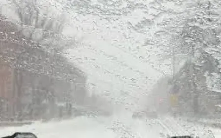 Wisconsin Road Conditions: DOT Urges No Travel in Northeast as Blizzard Warning Hits Southeast