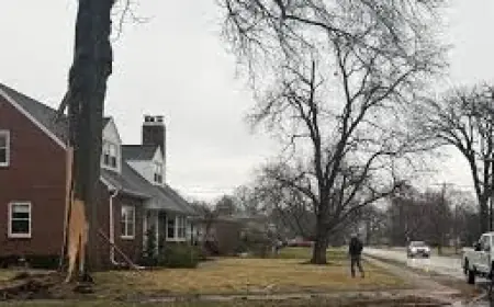 Kwqc: Davenport Homeowner Says Lightning Strike Blew Out Windows After Hitting Tree