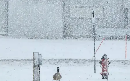 Weather Winnipeg: Alberta Clipper Leaves Southern Manitoba With Hazardous Friday Commute