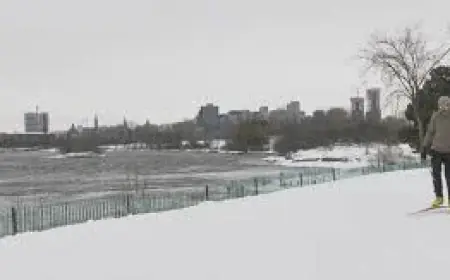 Yellow Watch – Severe Thunderstorm In Ottawa Triggers Driving Disruptions