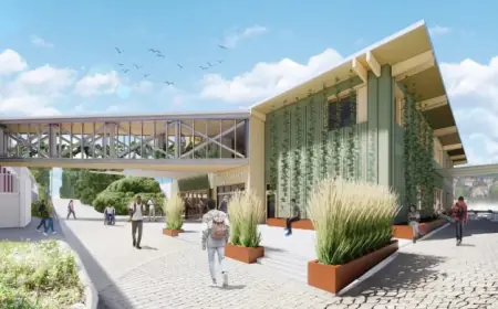 Choosing an International School in Prague? Start With the Campus