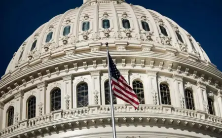 Citoyenneté Américaine Aux États-Unis Divise Les Frais Et Soulage Des Milliers De Français