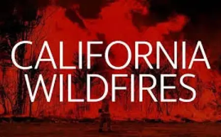 Riverside Fire: New Wildfire Reports in Riverside County as Crews Respond Near Jurupa Valley