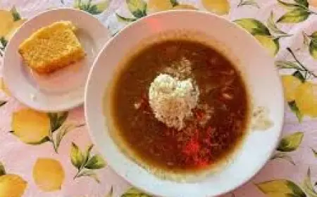 Nola-Style Parade Riders Face Lifetime Bans After Video Sparks Outrage