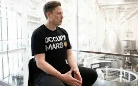 Spacex Bank Role Talks Spark Fresh Focus on a Potential IPO and Index Bets