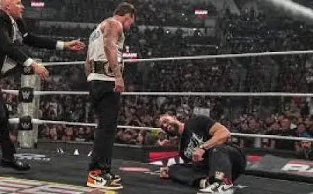 Wwe Raw Results: CM Punk Drops Roman Reigns as WrestleMania Stakes Rise