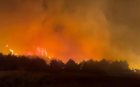 Fire Near Me: Nebraska Wildfires Scorch Hundreds Of Thousands Of Acres As Largest Blaze Rages