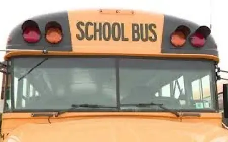 North Allegheny School District Declares Flexible Instruction Day After High Winds Make Bus Routes Unsafe
