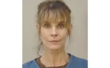 Baywatch Link in Dane County Break-In Sparks Around 20 Arrests