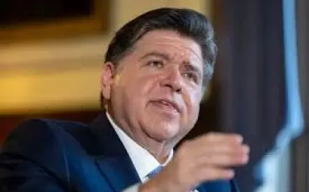 Illinois Primary Puts Democratic Divides on Display as Voters Choose a New Senator and House Nominees