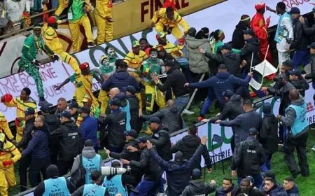 Afcon: CAF Strip Senegal Of Title, Appeal Trial Of Detained Fans Postponed