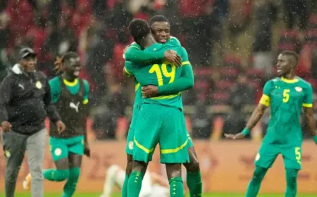 Afcon Final in Morocco Sparks Forfeit Ruling as Court Delays Senegal Fans’ Appeal
