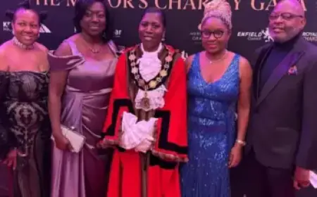 Garcia Shines as WBC MVP with Home Run Against Japan