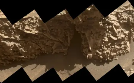 Curiosity Rover Explores Unusual Spiderweb Ridges on Mars