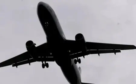 Tampa Airport Delays Frustrate Travelers Amid Flight Cancellations