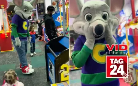 Mom Captures Hilarious Chuck E. Cheese Mishap in Viral Video