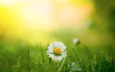 Warm Spring Weather Brings Sunny Spells This Week