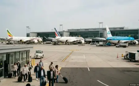 JFK Alliance Set to Boost NYC Hotel Revenues