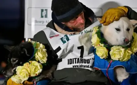 Jessie Holmes Triumphs in Iditarod, Celebrates with Steak Feast for Sled Dogs