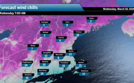 Sunny Skies and Cold Temperatures Dominate a Calm Wednesday