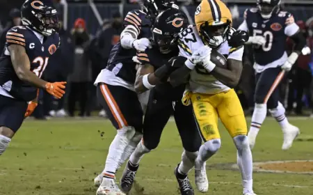 Patriots Earn High Praise from NFL Writer After First Free Agency Week