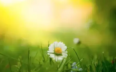 Neymar Predicts Barcelona’s Exact Score and Goal Scorers in Champions League