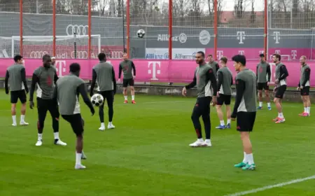 How to Watch Bayern Munich vs. Atalanta: Free Champions League Live Stream