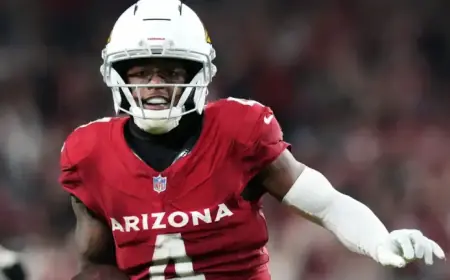 Detroit Lions Acquire Ex-Cardinals WR Greg Dortch