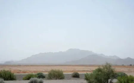 Origin and End of Phoenix Heat Wave Explained