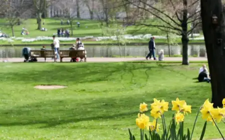 UK Weather: Sunshine Brings 21C Temperatures