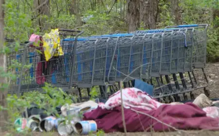 Residents Criticize City for Ignoring Dickerson Pike Safety Concerns