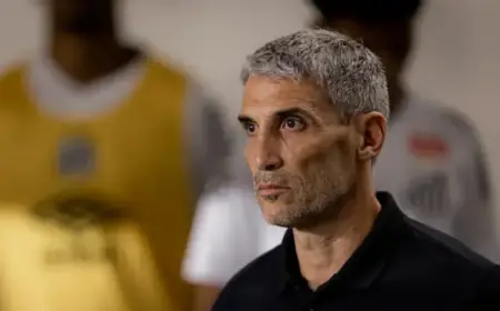 Vojvoda Dismissed as Santos Coach After Defeat to Internacional