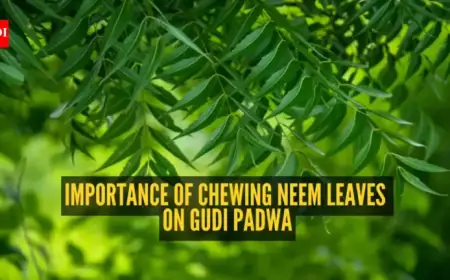 Gudi Padwa 2026: Discover Why Neem Leaves are Eaten on Hindu New Year
