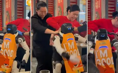 Robot Rampages in California Eatery, Staff Subdue After Tableware Smash