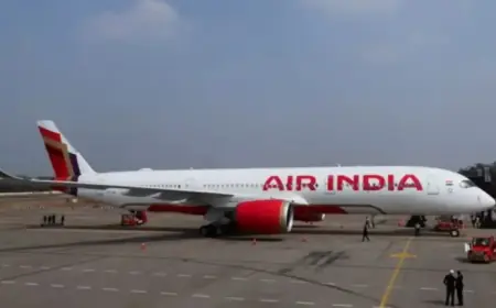 Struggling Flight Path Reveals Challenges in Aviation Industry