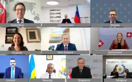 Singapore and 9 Nations Support Permanent Ban on Digital Transmission Tariffs Before WTO Meeting